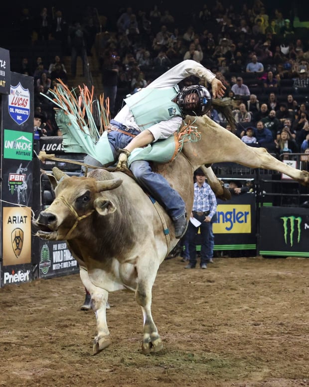rodeo